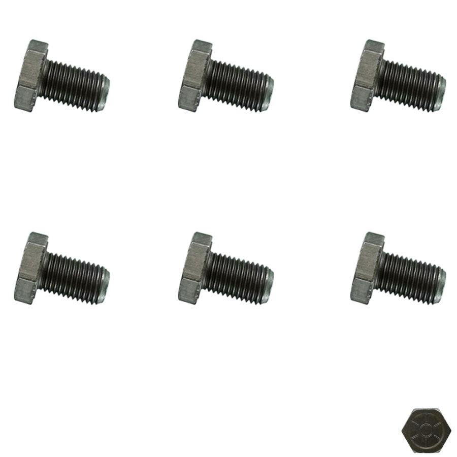 1987 Flex Plate Bolt Kit (6 bolts)